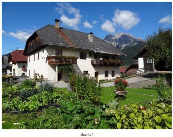Lissis Bauernhof Appartments Gundersheim ภายนอก รูปภาพ